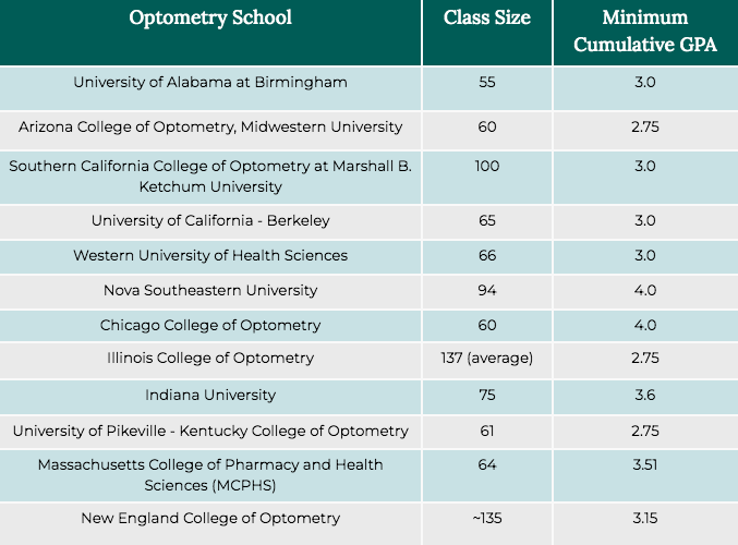 how-to-become-an-optometrist-step-by-step-guide